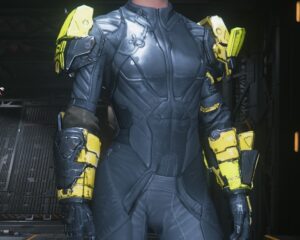 Overlord Stinger Arms